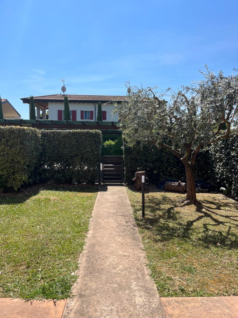 Day, Garden