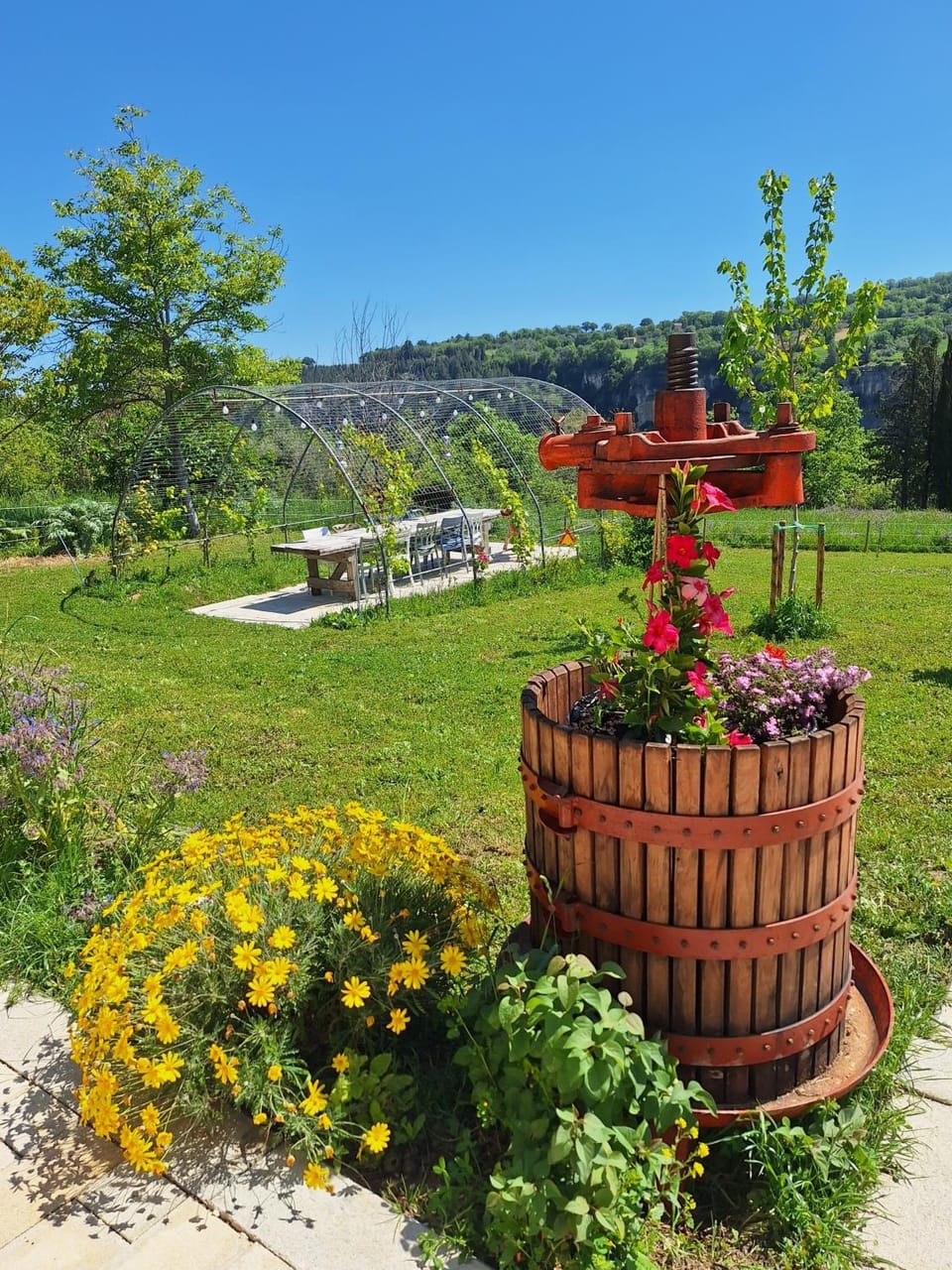 Spring, Day, Natural landscape, Garden, Garden, Garden view