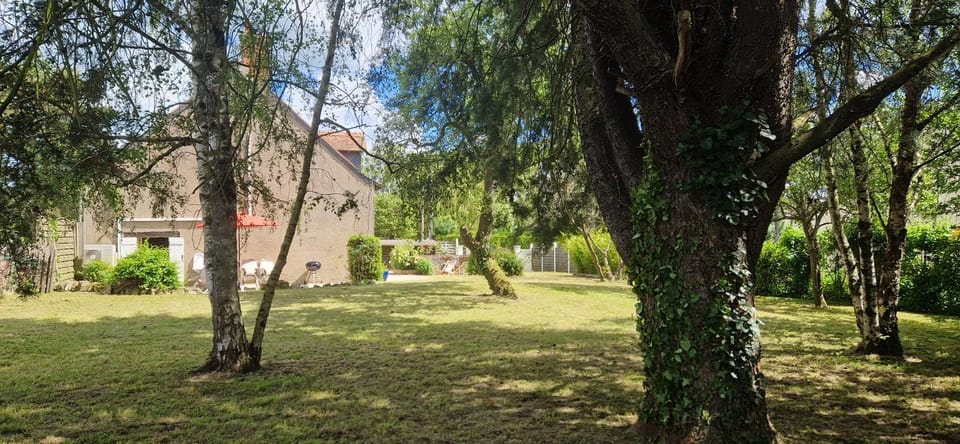 Garden, Garden, Garden view