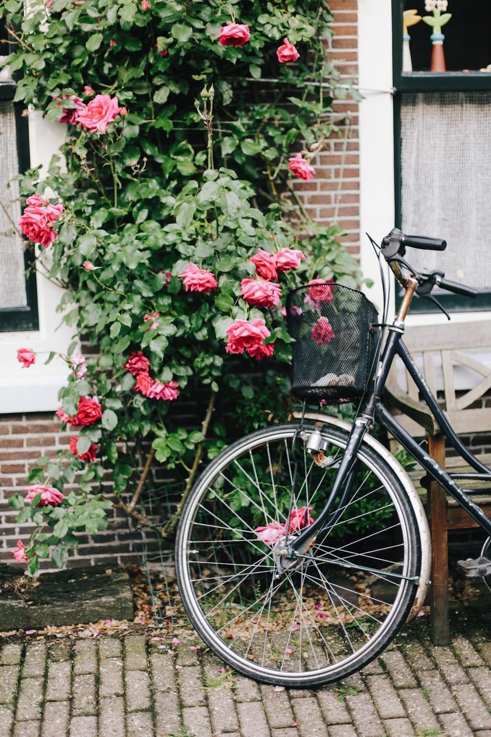 Cycling