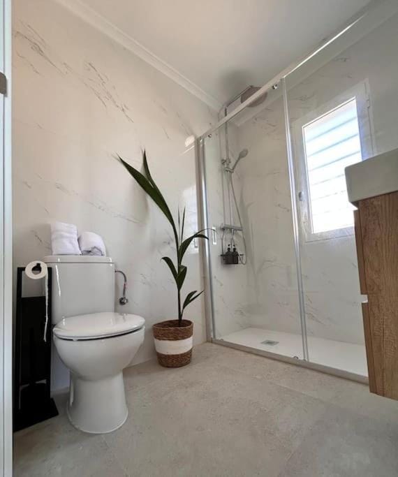 Shower, Toilet, towels