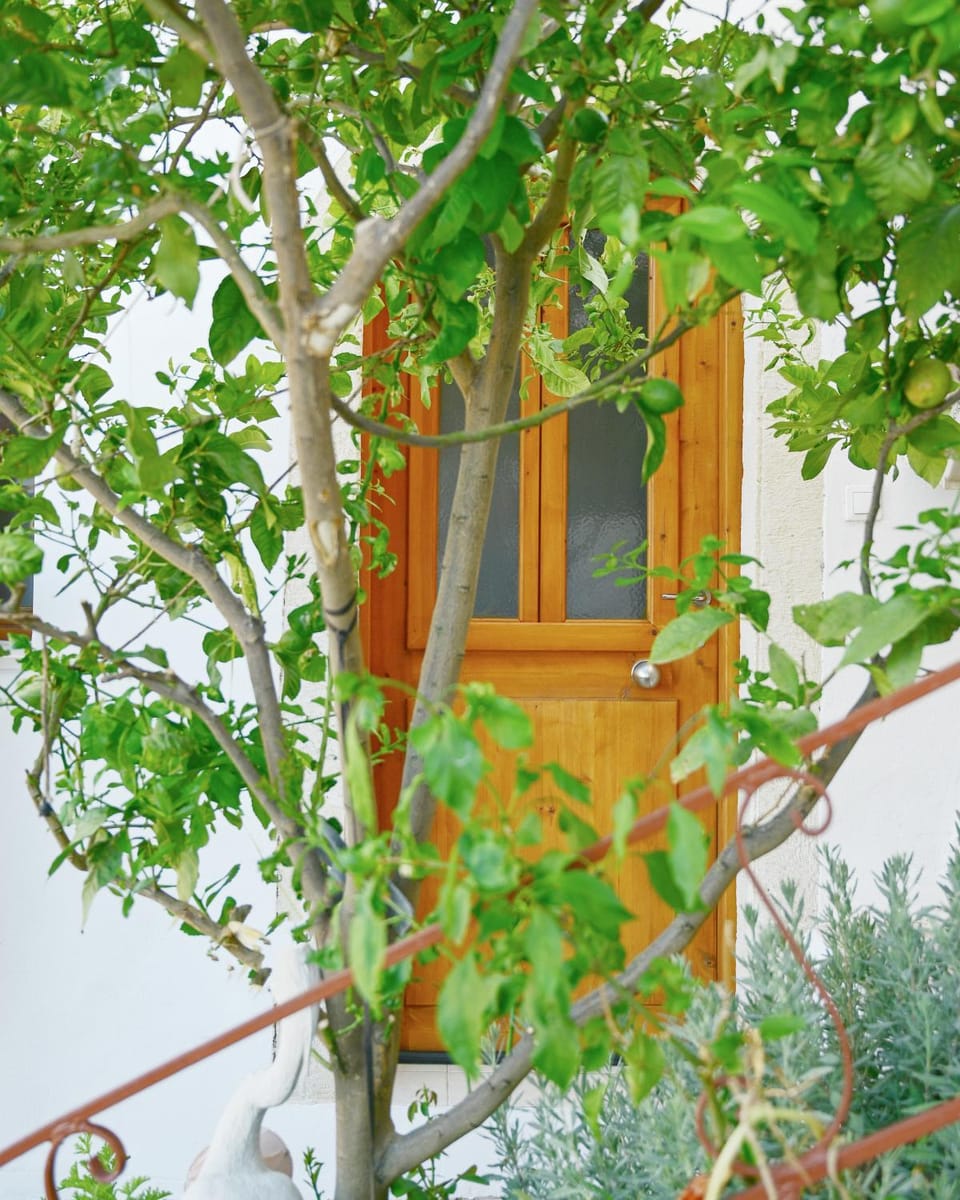 Guest house Dimitra House in Lasithi