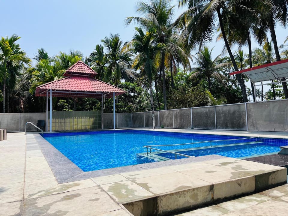 Day, Pool view, Swimming pool