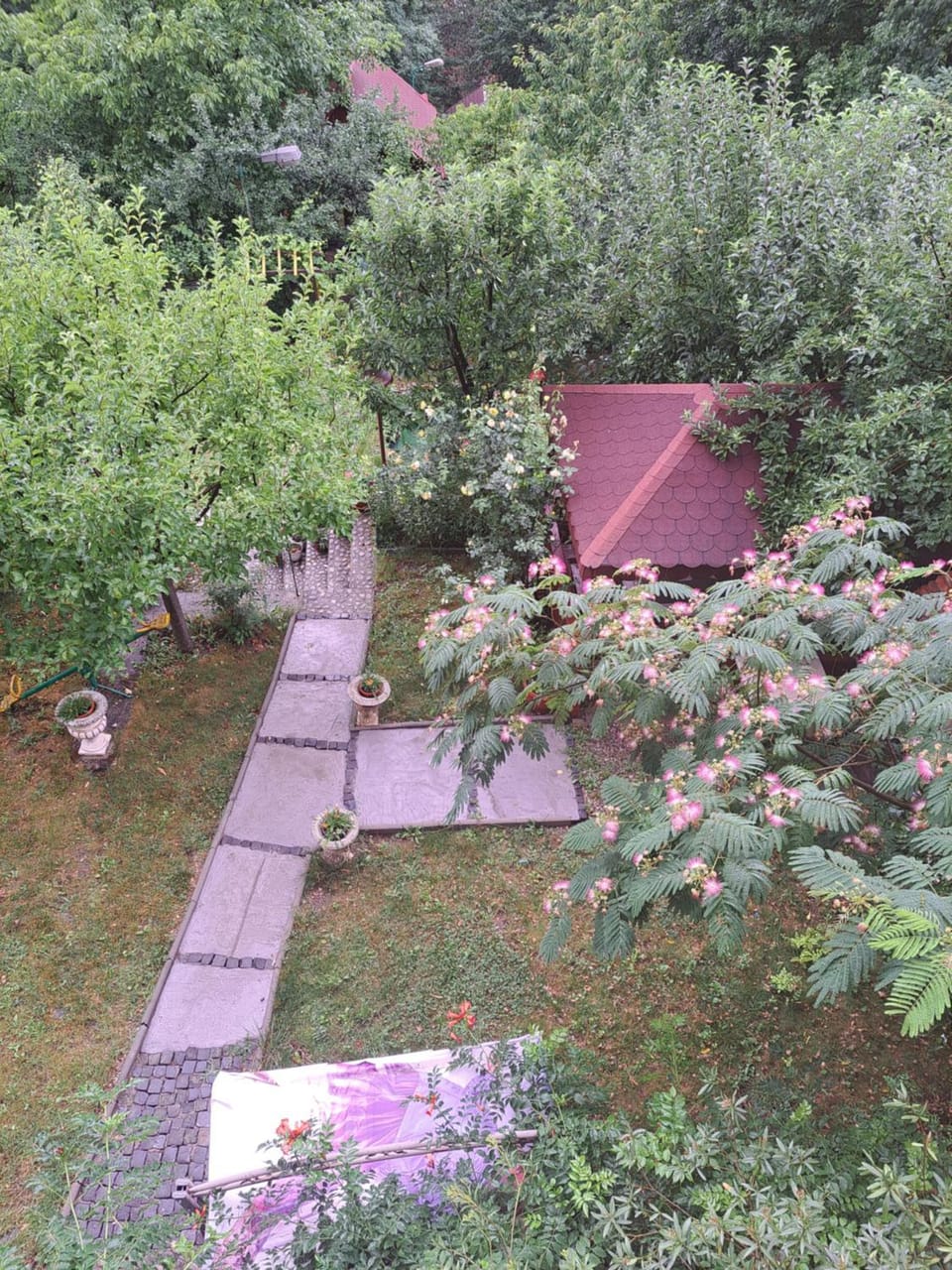 Pensiunea Floriana Hotel in Serbia