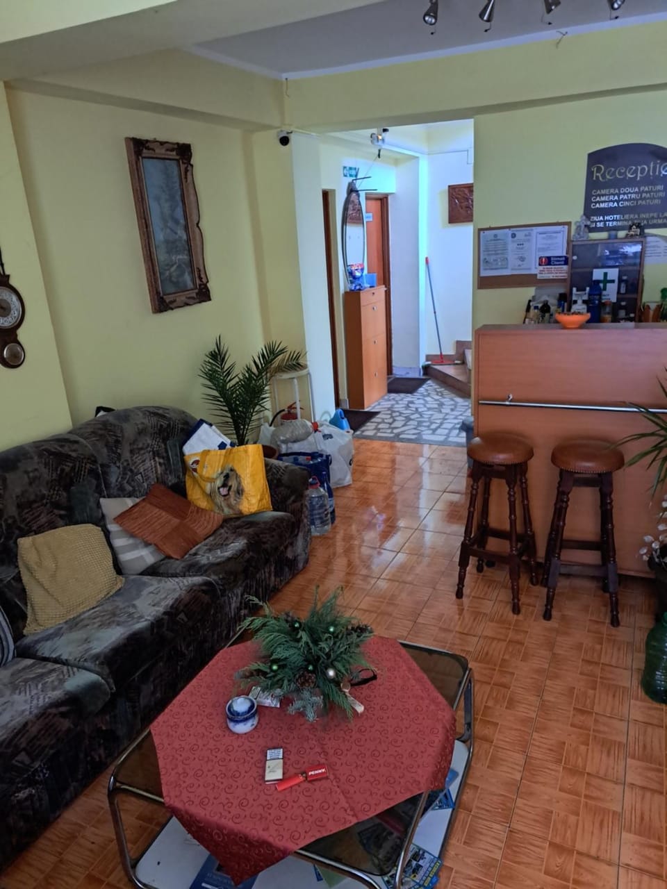 Pensiunea Floriana Hotel in Serbia