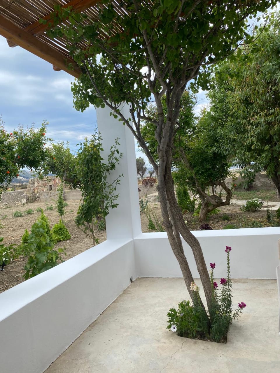 Living In The Nature House in Milos
