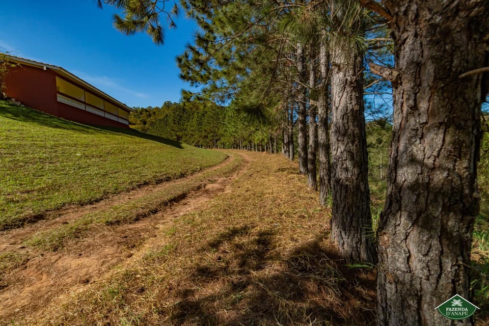 Day, Natural landscape
