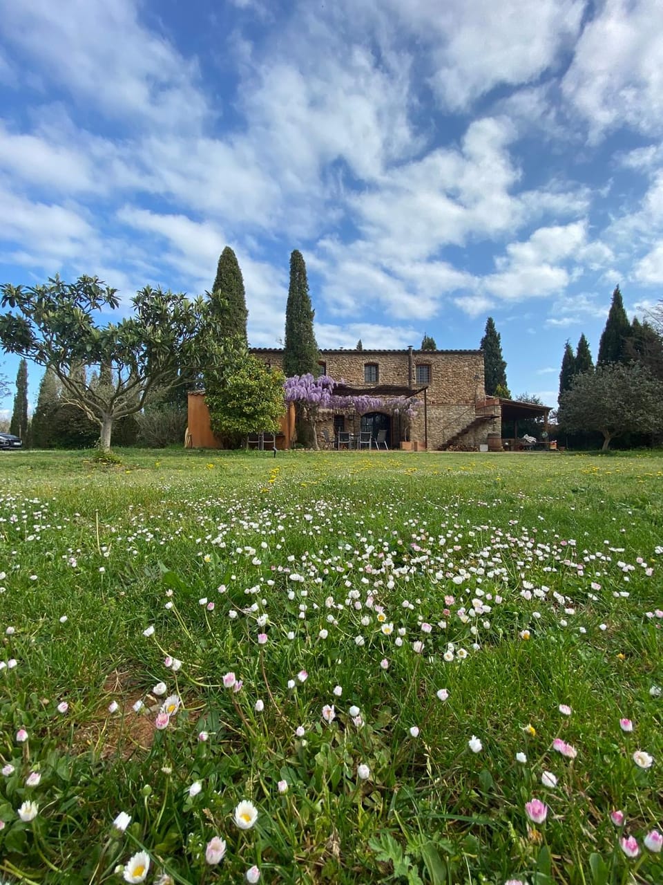 Property building, Natural landscape, Garden view