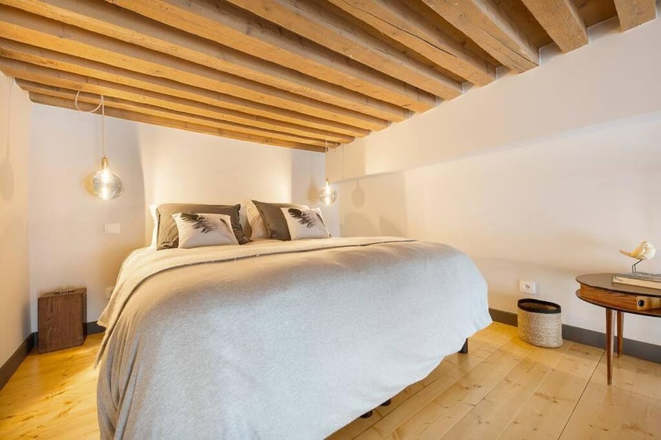 Concerto Royal Duplex Top Centre, Lyon 1er Apartment in Lyon