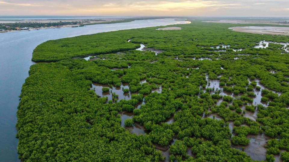 Bazouk Du Saloum Ecolodge Solidaire Nature lodge in Thiès Region, Senegal