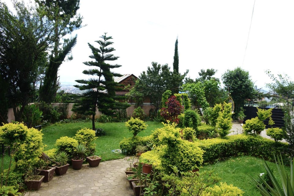 Spring, Day, Natural landscape, Garden, Garden, Garden view