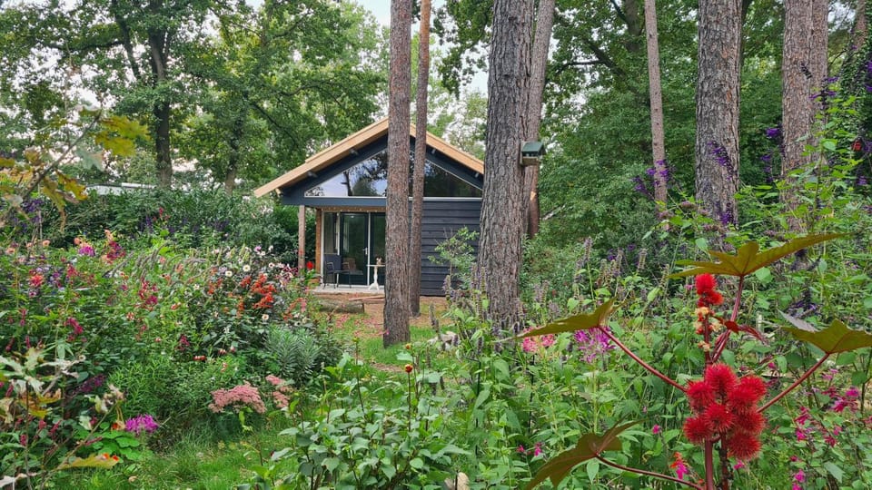 Summer, Autumn, Garden view