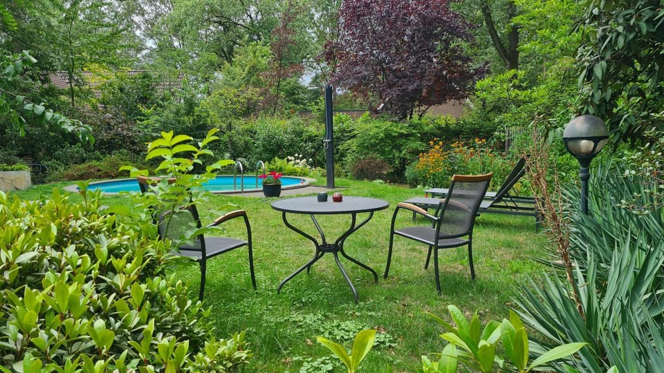 Garden, Pool view, sunbed