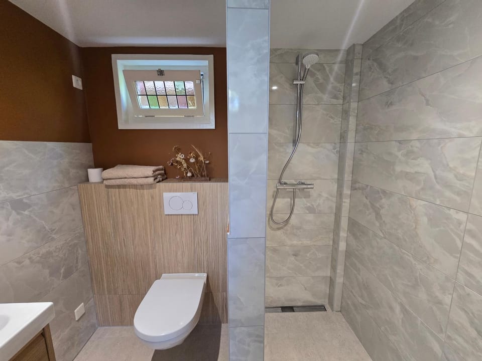 Shower, Toilet, Bathroom, towels