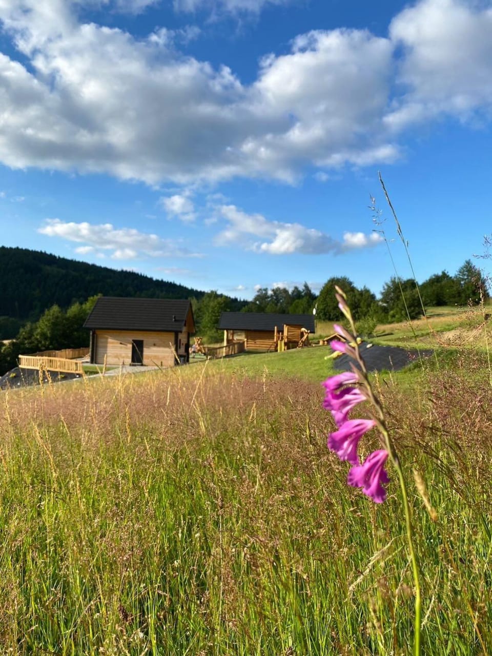 Rajski Zakątek - jeden domek na działce z gorącą balią i mini ZOO House in Lesser Poland Voivodeship