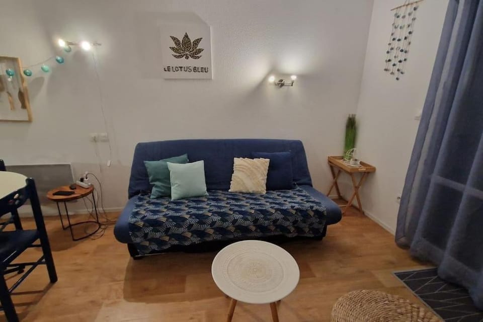Le Lotus Bleu House in Pornic