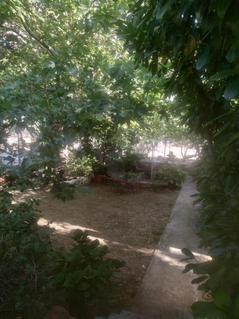 Niki rooms Bed and Breakfast in Evros, Greece