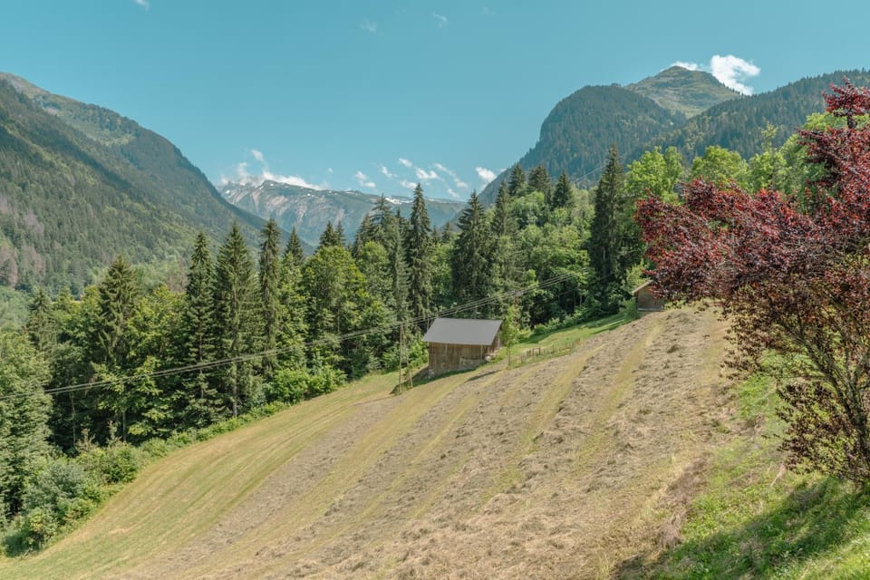 Etoile des Vents 1 Apartment in Morzine