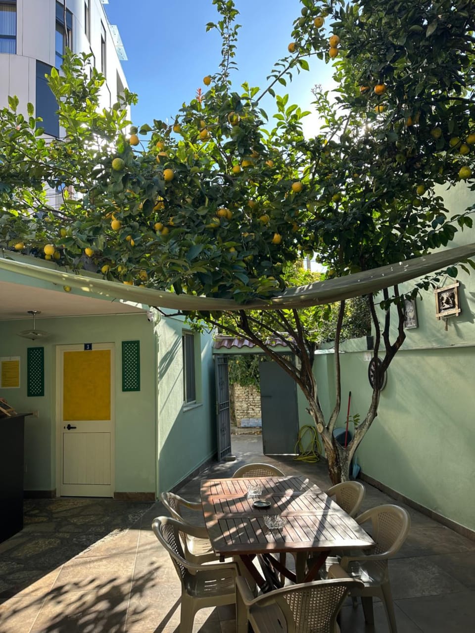 Tirana Lemon Breeze Hostel Hostel in Tirana