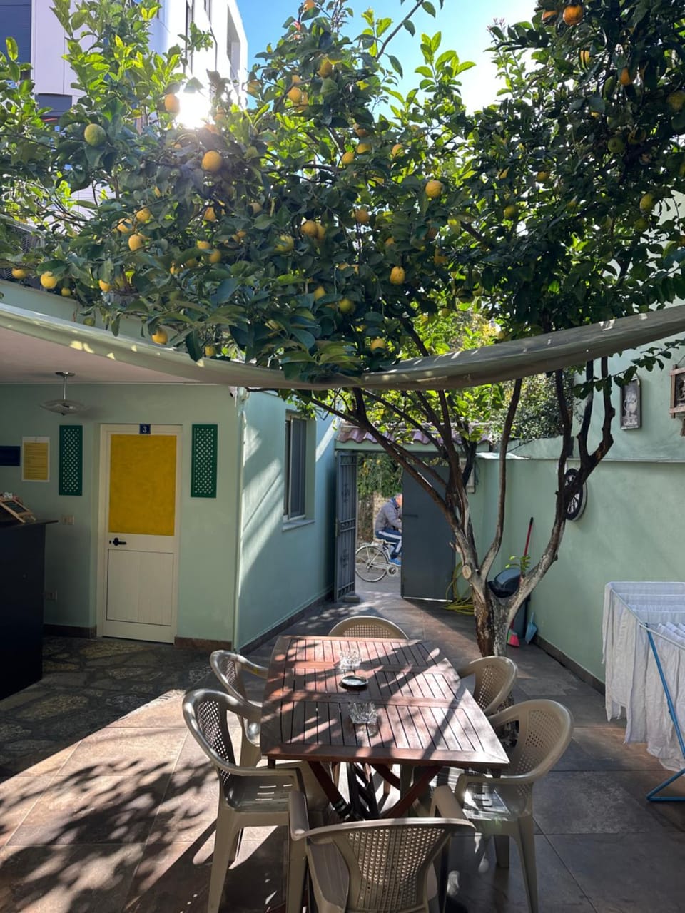 Garden view