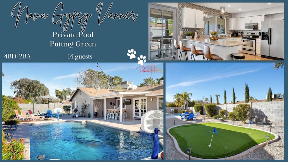 Nova Gypsy Vanner by PaseoHomesAZ with Pool & Pool House in Phoenix