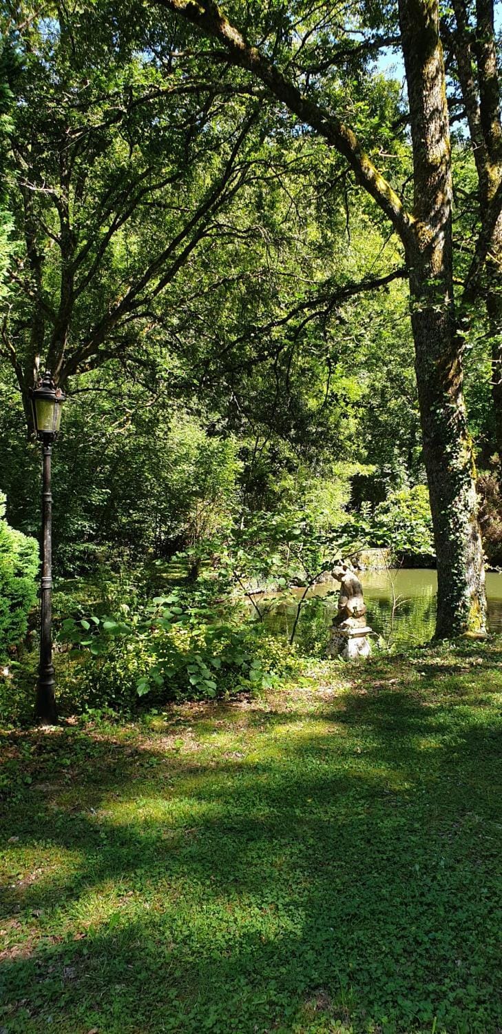Natural landscape, Garden, Garden view