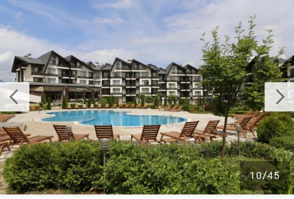 Garden, Swimming pool, sunbed