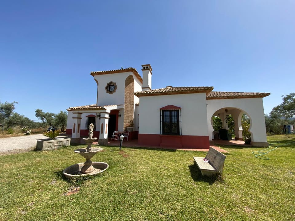 Property building, Day, Garden