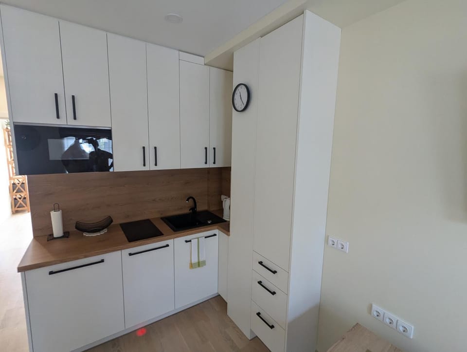 Luxury apartment with pool Apartment in Palanga