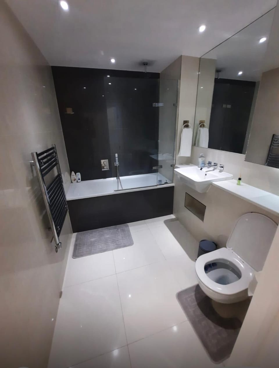 Spacious 3 bed apartment with stunning views Apartment in Croydon