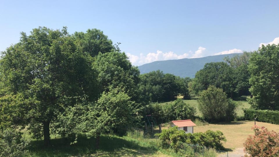 L écrin verdoyant House in Haute-Savoie