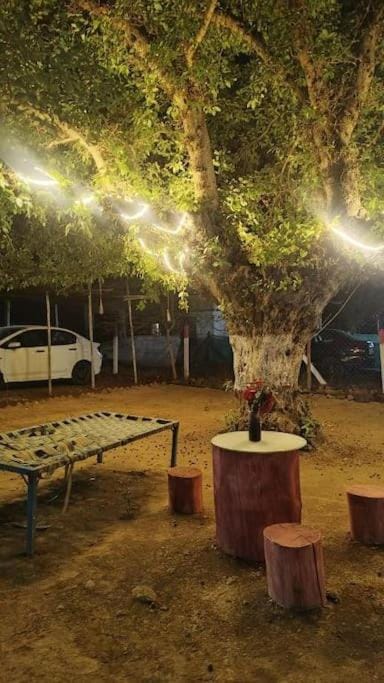 Night, Natural landscape, Garden view