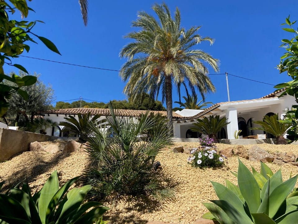 Garden view