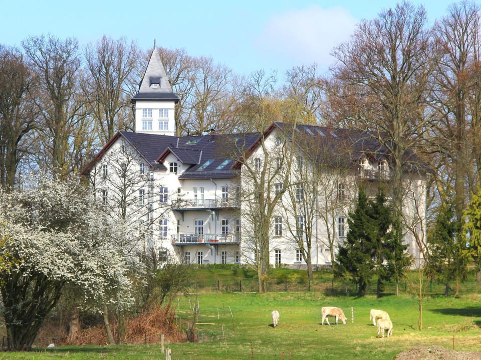 Neighbourhood