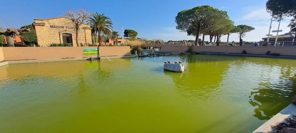 Rêves bleus, T2 proche plage des sablettes, Clim, Wifi, Place de parking Apartment in La Seyne-sur-Mer