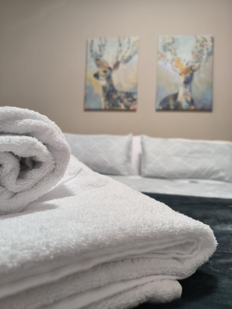 Bedroom, towels