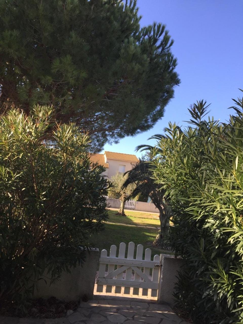 Le Cocon Villa in Occitanie