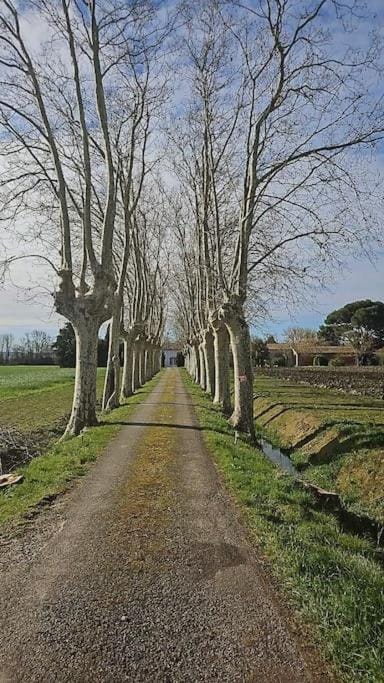 Hébergement - Canal du midi House in Occitanie