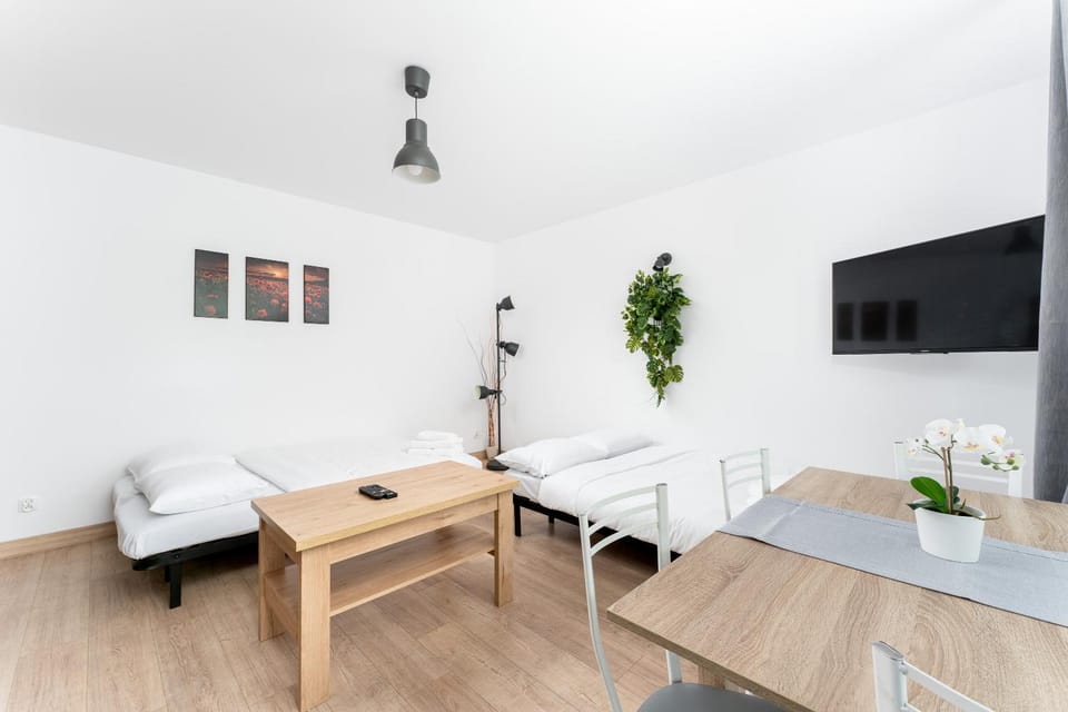 Bed, TV and multimedia, Living room, Photo of the whole room, Seating area, Dining area, Bedroom