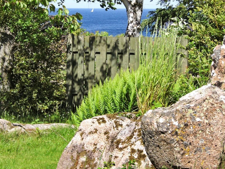 Lake view