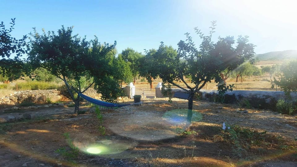 Natural landscape, Garden, Garden view