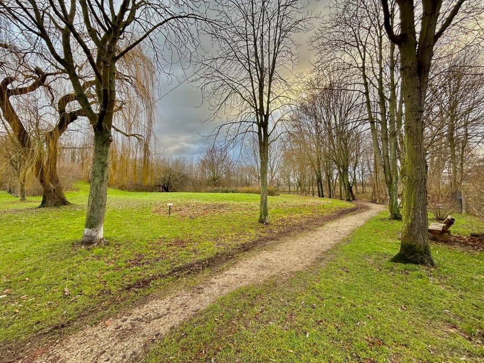 Natural landscape
