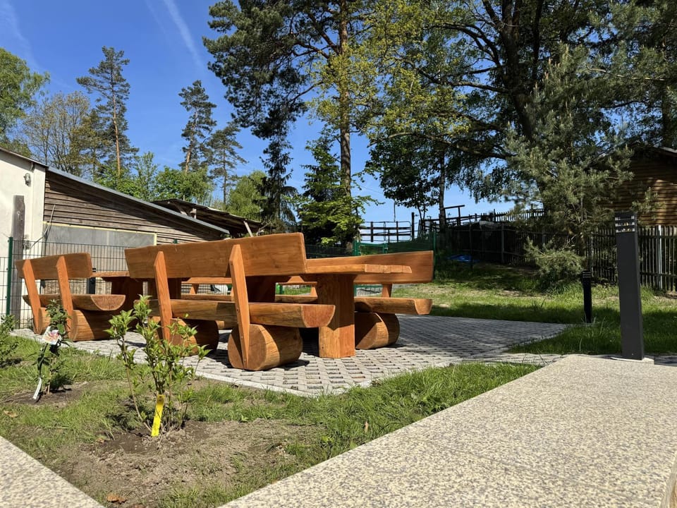 Day, Garden, Garden view