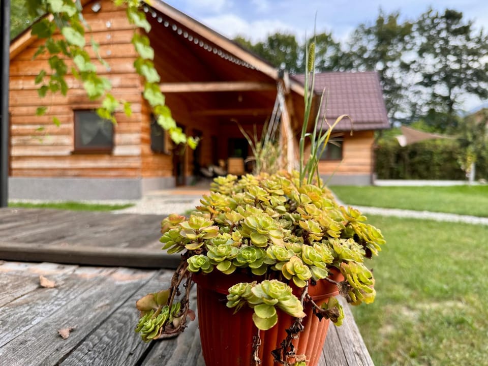 Property building, Patio, Garden view