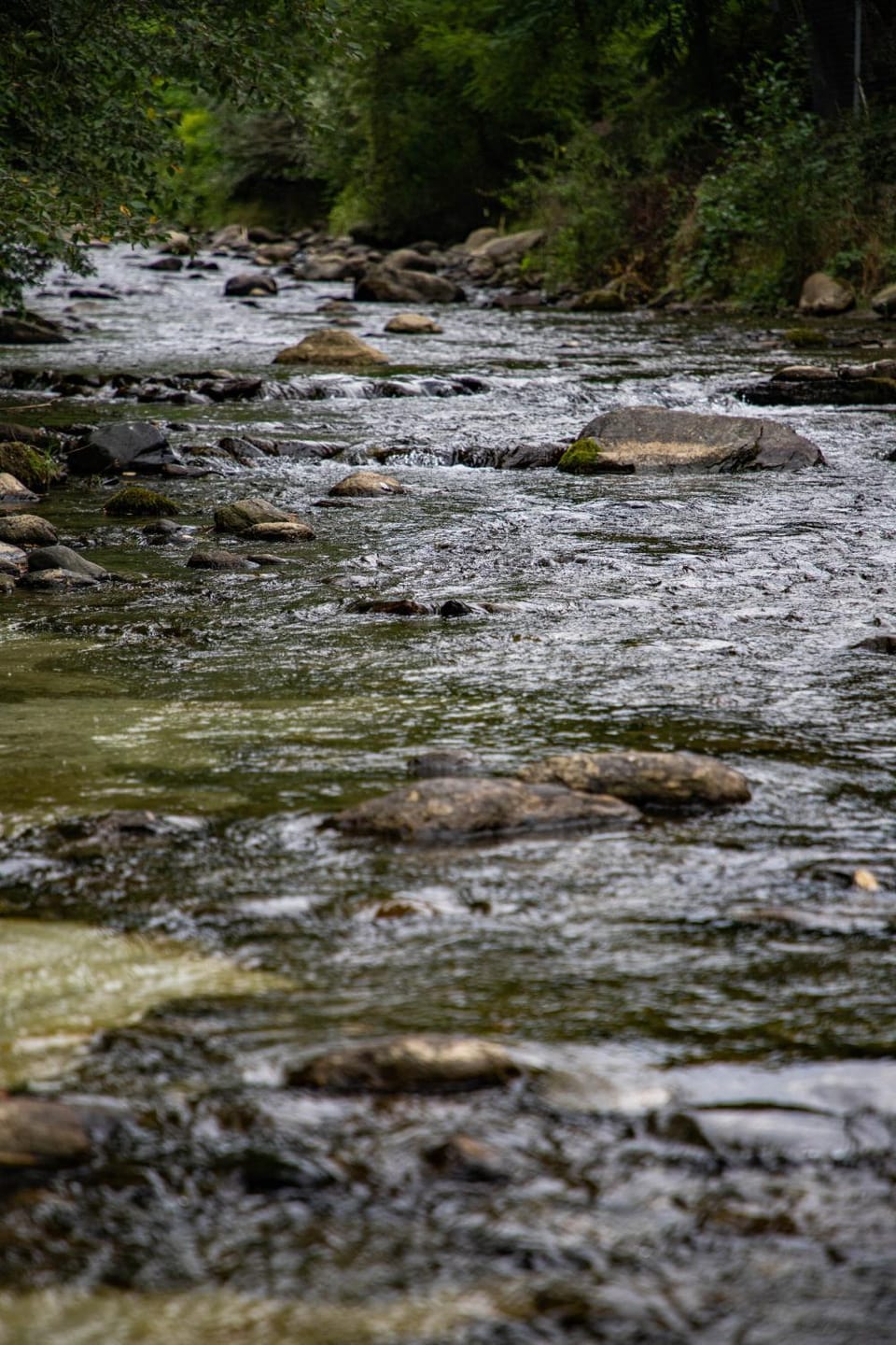 Natural landscape, River view