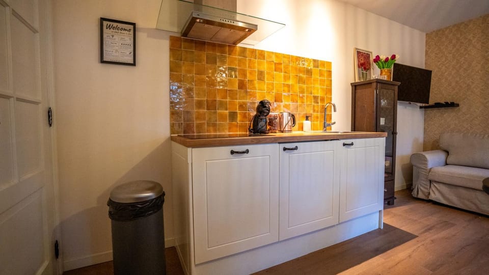 Hot Spring Bath, Coffee/tea facilities, stove, kitchen