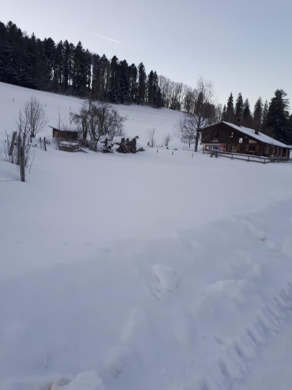 Natural landscape, Winter