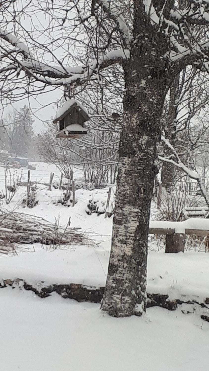 Natural landscape, Winter
