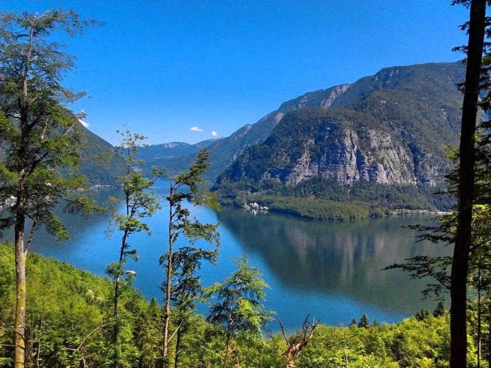 Landhaus am See - Obertraun - Salzkammergut House in Salzburgerland