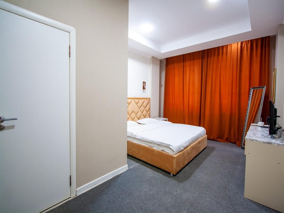 Hotel Montana Hotel in Almaty